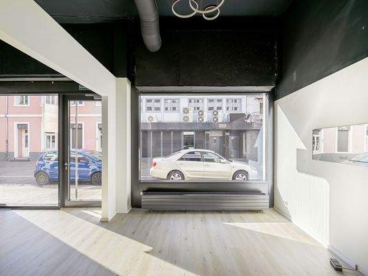 Ladenfläche Ansicht 3