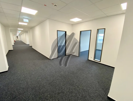 INFOS UNTER: 06171-586000