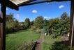 Blick in den Garten