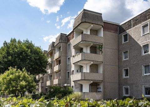 Dessau-Roßlau Wohnungen, Dessau-Roßlau Wohnung mieten