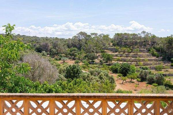 Mediterrane Umgebung