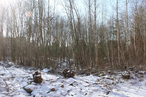 Reichenbach im Vogtland Industrieflächen, Lagerflächen, Produktionshalle, Serviceflächen