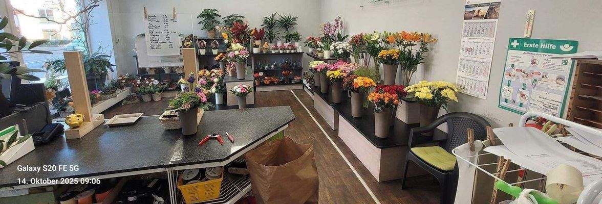 Der große Geschäftsraum zum Schaufenster zu