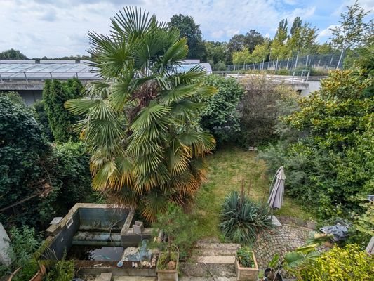 Aussicht in den Garten