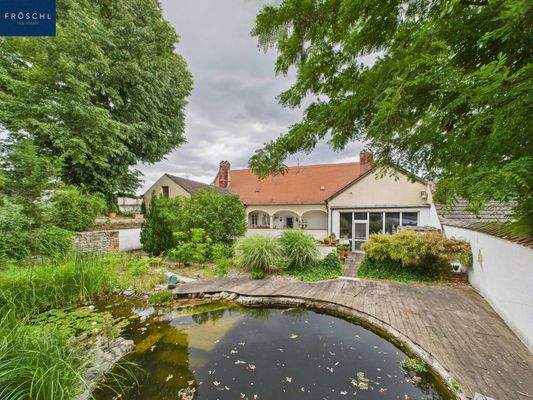 Schwimmbiotop - Pic 1