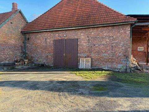 Bardowick Halle, Bardowick Hallenfläche