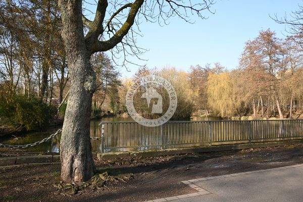 Blick zum Grüntalteich