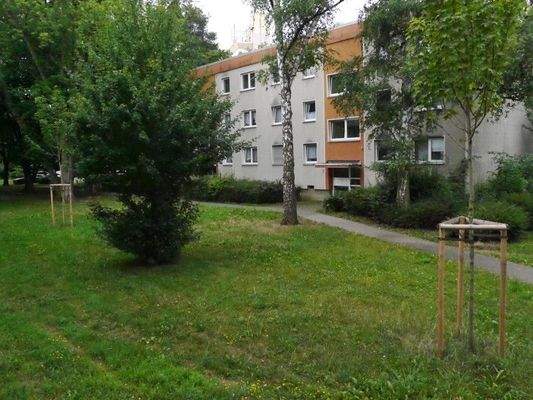 11 Aussicht vom Balkon