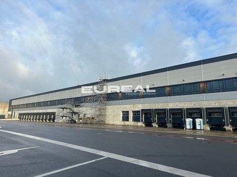 Mönchengladbach Halle, Mönchengladbach Hallenfläche