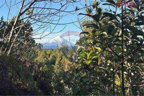 Puerto Varas Büros, Büroräume, Büroflächen 