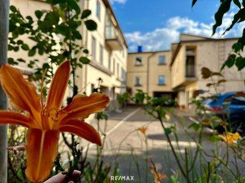 Judenburg Halle, Judenburg Hallenfläche