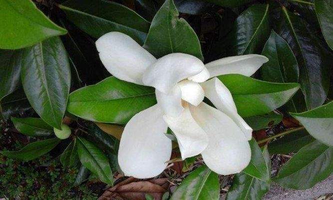 Möbliertes Zuhause !