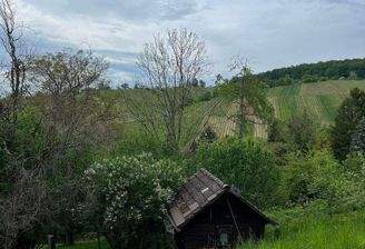 Blick auf die Hütte