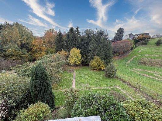 Grundstück + umliegende Felder