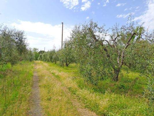 PHOTO-2024-04-29-15-33-34 2.jpg