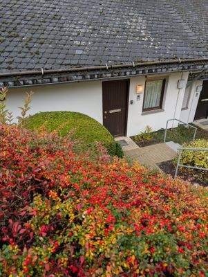 WhatsApp Bild 2025-10-17 um 16.14.34_77f4b898.jpg