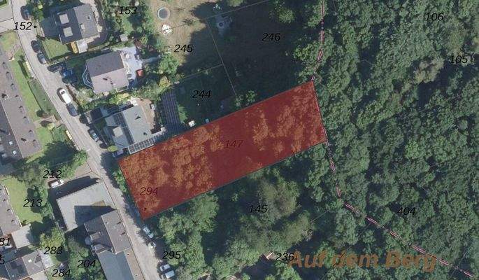 Liegenschaftskarte - Satellitenbild