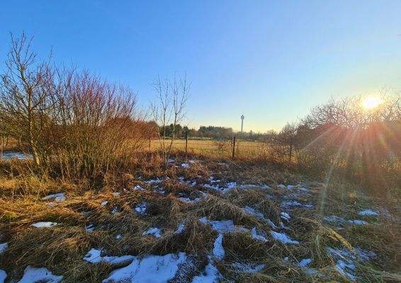 hinterer Grundstücksbereich