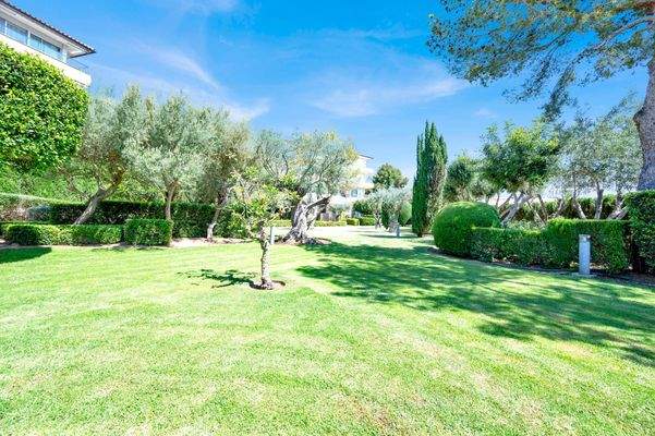 a01a9858-e866-439b-8591-ba2a8790bdc7