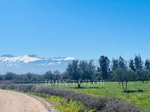 Marrakech Häuser, Marrakech Haus kaufen