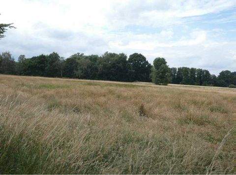 Nienburg (Weser) Bauernhöfe, Landwirtschaft, Nienburg (Weser) Forstwirtschaft