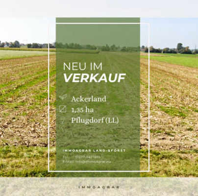 ImmoAgrar_Pflugdorf_AL.png