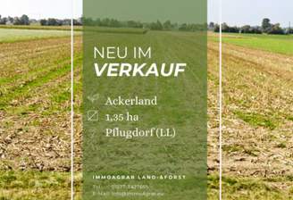 ImmoAgrar_Pflugdorf_AL.png