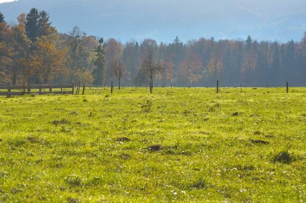 Landschaft südl. Baugrundstück