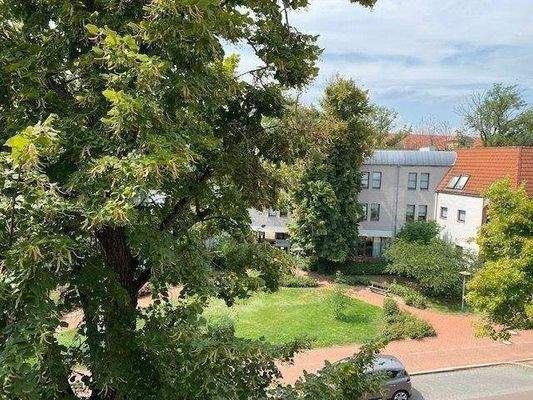 Ausblick Richtung Stadtpark