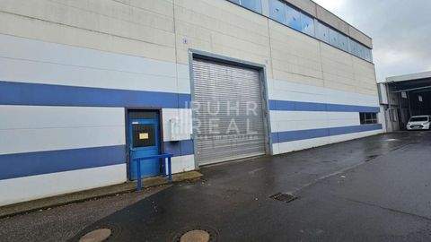 Bad Münstereifel Halle, Bad Münstereifel Hallenfläche