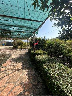 WhatsApp Image 2024-09-06 at 10.30.40 (4).jpeg