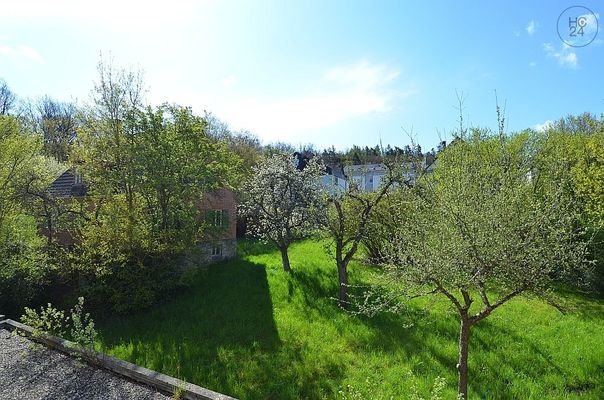 Bild6