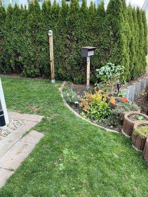 Bild von der Terrasse aus