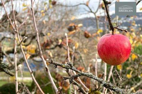 Leonberg Grundstücke, Leonberg Grundstück kaufen