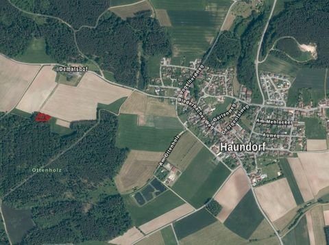 Haundorf Bauernhöfe, Landwirtschaft, Haundorf Forstwirtschaft