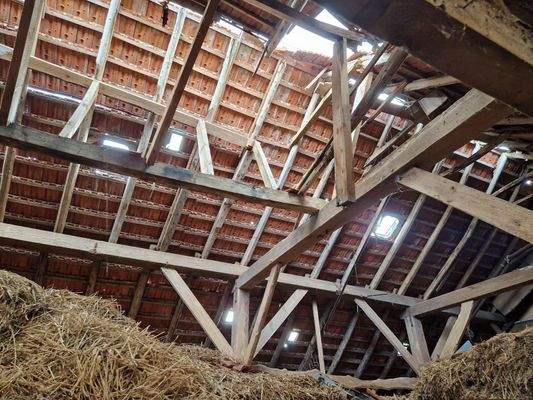 Dachstuhl Stallgebäude