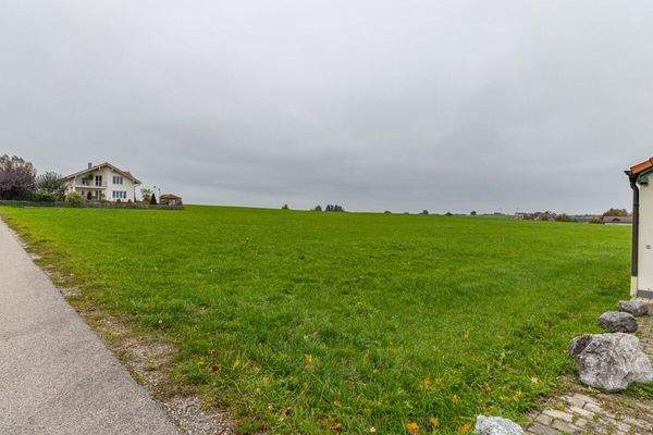 Blick von der Straße