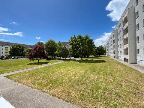 Bad Düben Wohnungen, Bad Düben Wohnung mieten