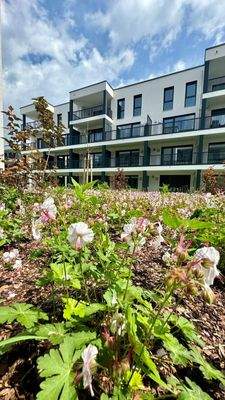 Bul Außenanlagen (5).jpeg