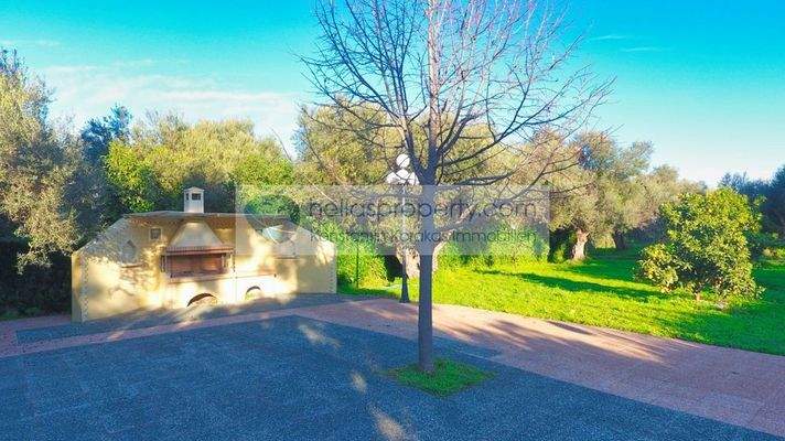 f451a81c94a447f89299890865839a17-original