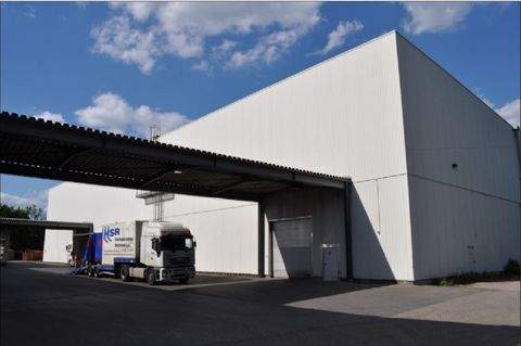 Herne Halle, Herne Hallenfläche