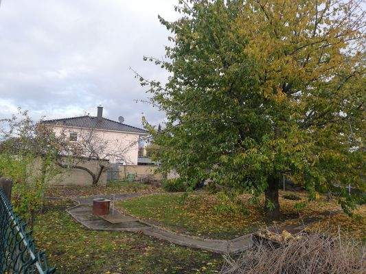 Blick auf Wasseranschluss.jpg