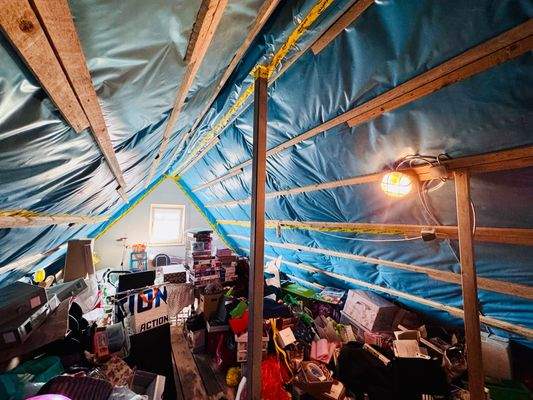 Unausgebauter Dachboden mit viel Stauraum.jpg