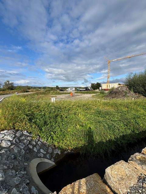 Bad Schussenried Grundstücke, Bad Schussenried Grundstück kaufen