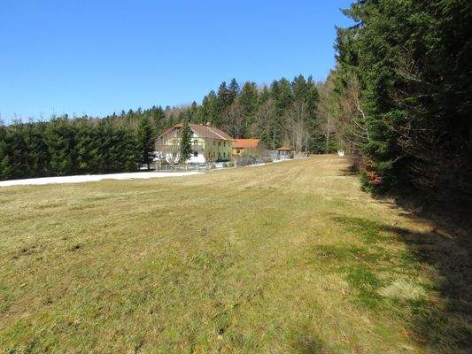 Landsitz am Waldrand 