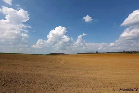 Uckerland Bauernhöfe, Landwirtschaft, Uckerland Forstwirtschaft