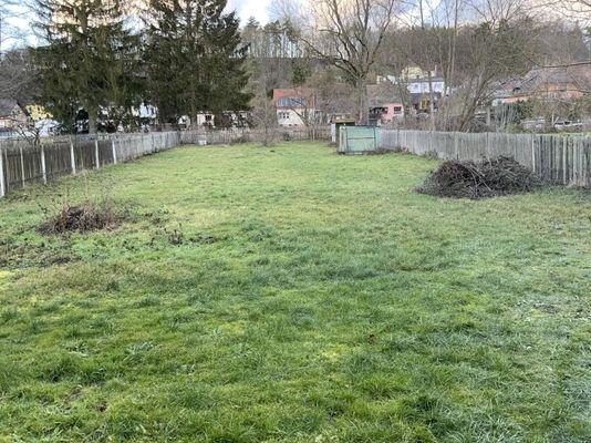 Garten / Wiese hinter dem Haus