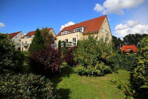 Reinsdorf Wohnungen, Reinsdorf Wohnung mieten