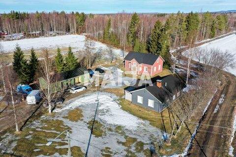 Tervola Häuser, Tervola Haus kaufen