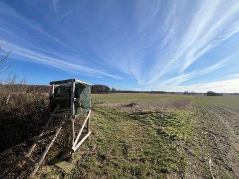 Demen Bauernhöfe, Landwirtschaft, Demen Forstwirtschaft